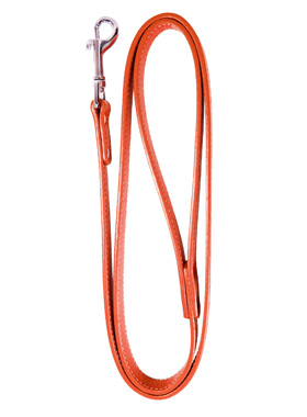 Red Leather Matching Dog Lead