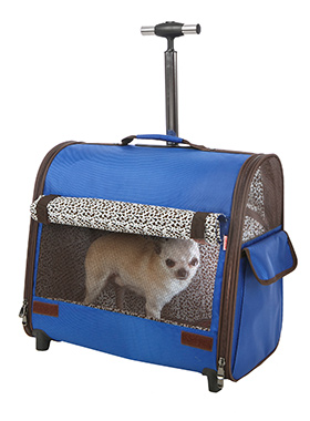 Blue Travel Carrier