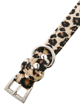 Leopard Print Fabric Collar & Lead Set