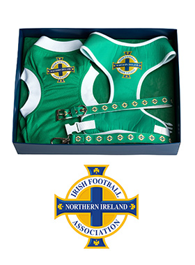 Northern Ireland Football Team GAWA Gift Box