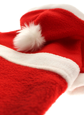 Santa's Christmas Coat