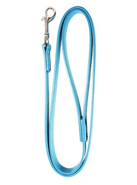 Blue Leather Matching Dog Lead