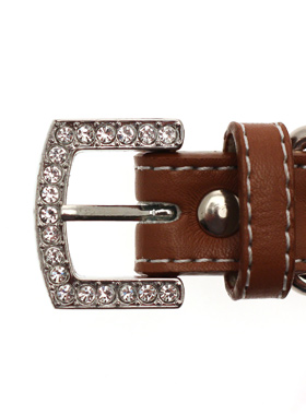 Brown Leather Diamante Collar / Diamante Bone Charm & Lead Set