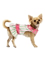 Chloe's Beverly Hills Chihuahua Dress Set