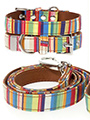 Henley Striped Fabric Collar & Lead Set