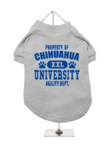 ''Property Of Chihuahua University'' Dog T-Shirt