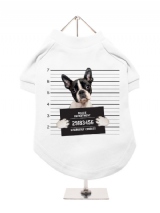 ''Police Mugshot - Boston Terrier'' Dog T-Shirt