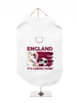 ''World Cup 2022: Qatar Its Coming Home'' Harness-Lined Dog T-Shirt