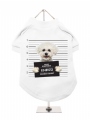 ''Police Mugshot - Bichon Friese'' Dog T-Shirt