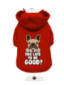 ''Christmas: Is It Too Late To Be Good?'' Dog Sweatshirt